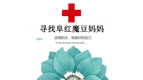 QQ图片20180319113558.png